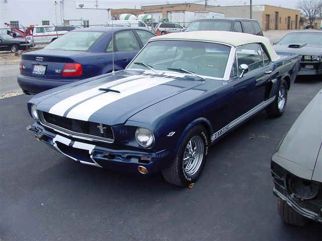 65 Mustang.jpg (61800 bytes)